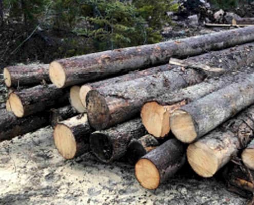 Land clearing has begun for the solar farm