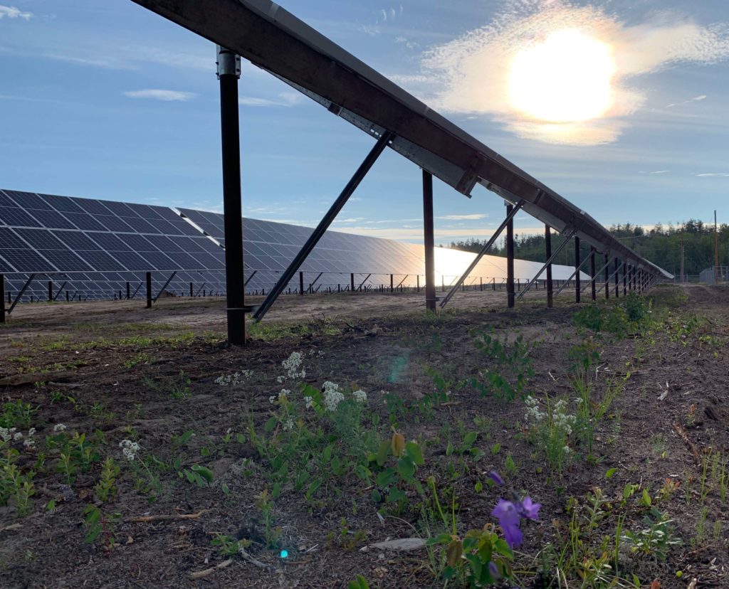 solar farm aerial