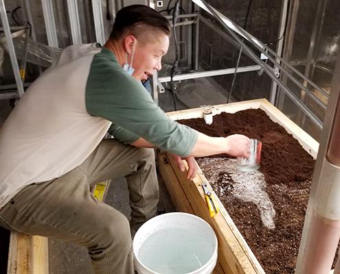 Setting up grow beds